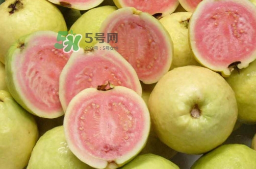 芭樂能和酸奶一起吃嗎？酸奶可以和芭樂一起吃嗎