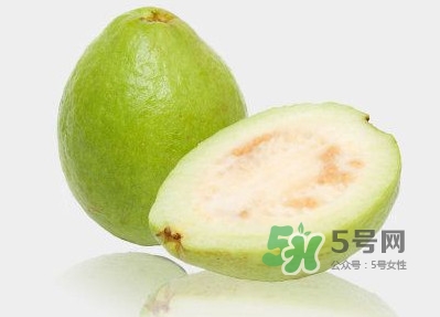 芭樂(lè)一天吃幾個(gè)好？芭樂(lè)怎樣才算熟了