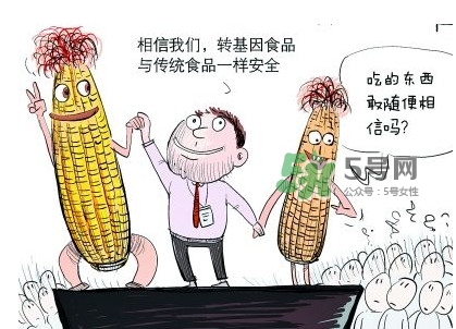 雜交水稻是不是轉(zhuǎn)基因？轉(zhuǎn)基因食品有哪些？