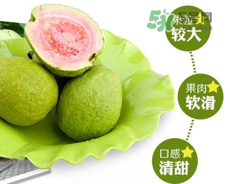 芭樂怎么挑選？如何挑選紅心芭樂