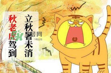 秋老虎熱嗎？末伏熱還是秋老虎熱？
