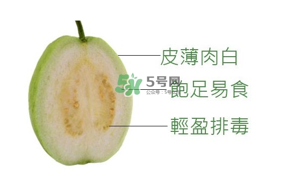 芭樂可以減肥嗎？吃芭樂可以喝牛奶嗎？