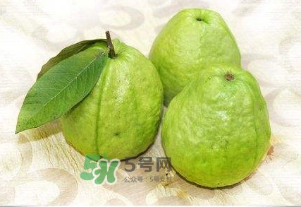 新鮮芭樂可以放幾天？芭樂能放多久
