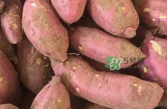 地瓜發(fā)芽了怎么種盆栽？拔絲地瓜怎么熬糖