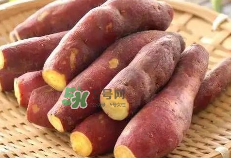 地瓜怎么做好吃？地瓜怎么吃好吃