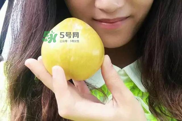 奈李是什么水果？奈李為什么會(huì)空心