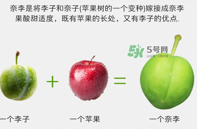 月經(jīng)期間可以吃奈李嗎？來(lái)月經(jīng)可以吃奈李嗎