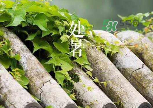 立秋為什么在處暑前？為什么立秋早過處暑？