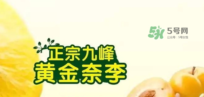 黃金奈李多少錢一斤？黃金奈李價格