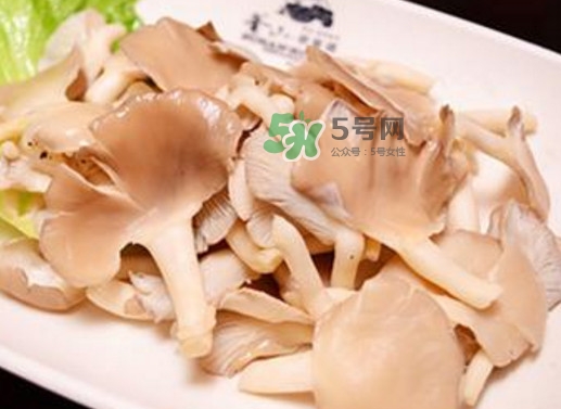 秀珍菇孕婦可以吃嗎？孕婦能吃秀珍菇嗎