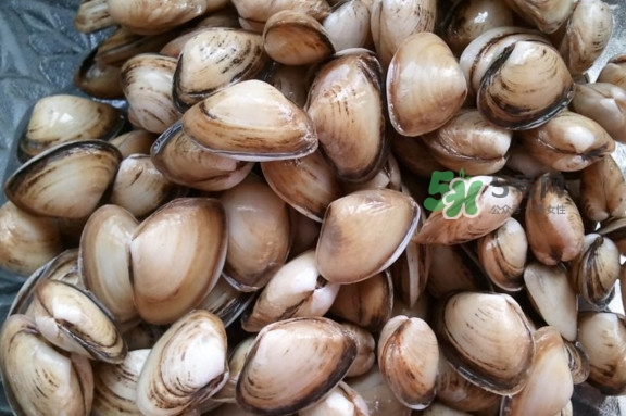 海瓜子多少錢(qián)一斤？西湖撈起的海瓜子能吃嗎
