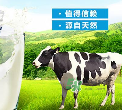 牛初乳是奶粉嗎？牛初乳跟奶粉的區(qū)別