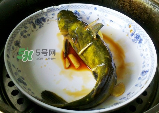 黃刺魚怎么殺？黃刺魚怎么處理