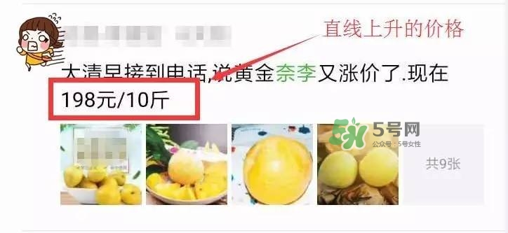 黃金奈李多少錢一斤？黃金奈李價格