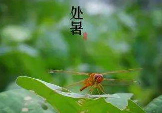 立秋為什么在處暑前？為什么立秋早過(guò)處暑？