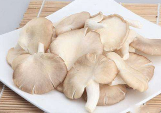 秀珍菇孕婦可以吃嗎？孕婦能吃秀珍菇嗎
