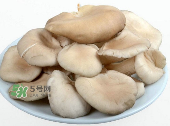秀珍菇孕婦可以吃嗎？孕婦能吃秀珍菇嗎