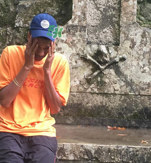 palace2017秋冬新款tri ferg tee什么樣_什么時(shí)候發(fā)售？