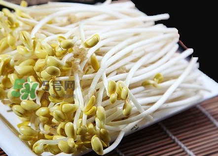 豆芽有根好還是無根好？無根豆芽與有根豆芽區(qū)別
