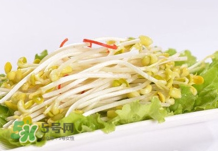 豆芽怎么保存？新鮮豆芽放冰箱能放幾天？