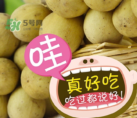 龍宮果孕婦可以吃嗎？懷孕可以吃龍功果嗎