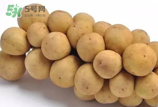 龍宮果多少錢一斤？龍功果價(jià)格表