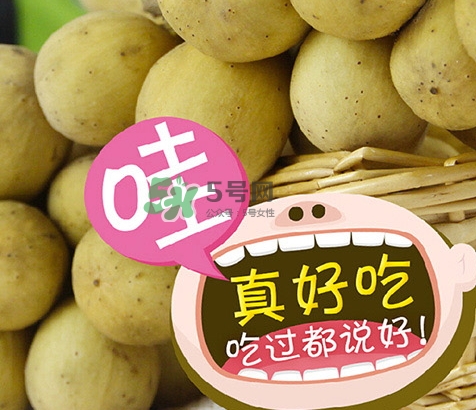 龍宮果多少錢一斤？龍功果價(jià)格表