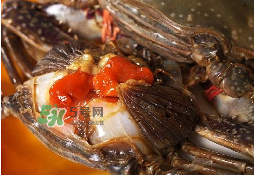 梭子蟹有蟹黃嗎？梭子蟹蟹黃在哪里？