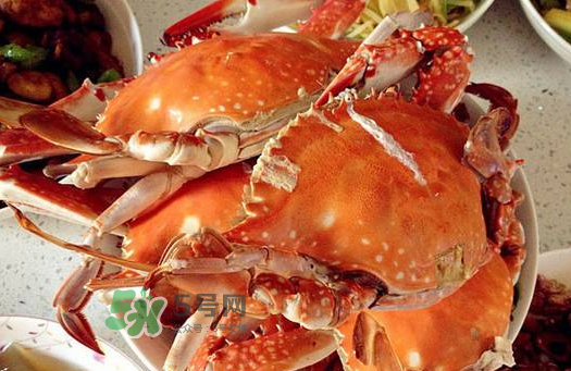 梭子蟹為什么沒有蟹黃？梭子蟹蟹黃能吃嗎？