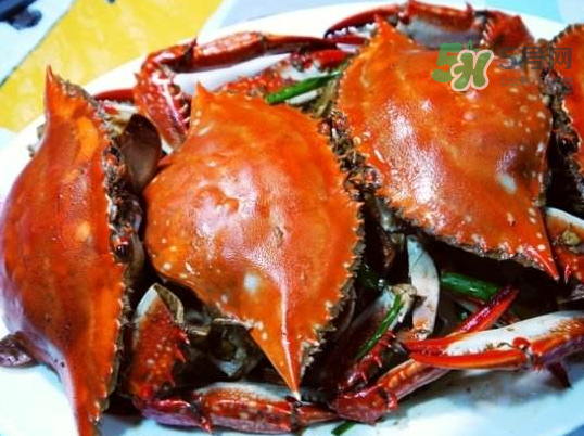 梭子蟹可以煮嗎？梭子蟹怎么煮？