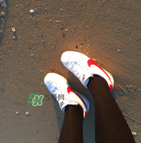 nike cortez jewel皮革版多少錢？耐克阿甘鞋皮革款價格