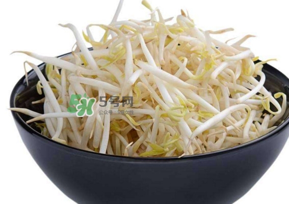 豆芽什么季節(jié)吃？豆芽什么時(shí)候有