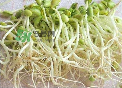 豆芽是發(fā)物嗎？豆芽能見陽光嗎