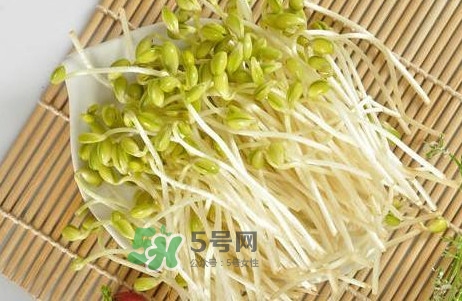 豆芽有根好還是無根好？無根豆芽與有根豆芽區(qū)別