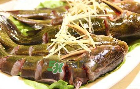 黃蜂魚(yú)怎么做好吃？黃蜂魚(yú)怎么釣