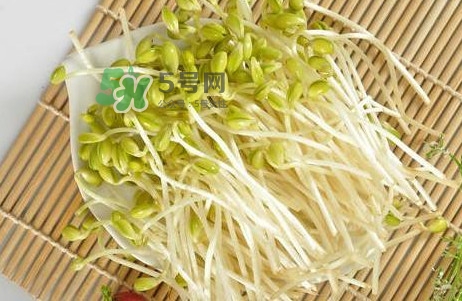 豆芽怎么保存？新鮮豆芽放冰箱能放幾天？