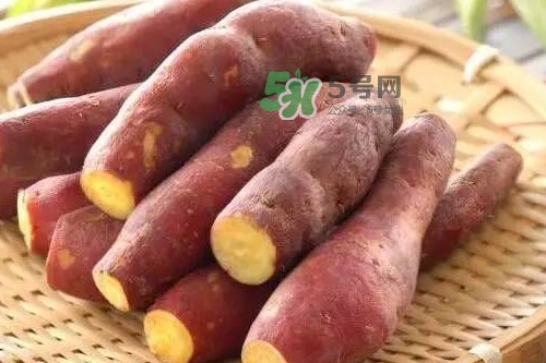 地瓜發(fā)芽能吃嗎？地瓜發(fā)芽了還可以吃嗎