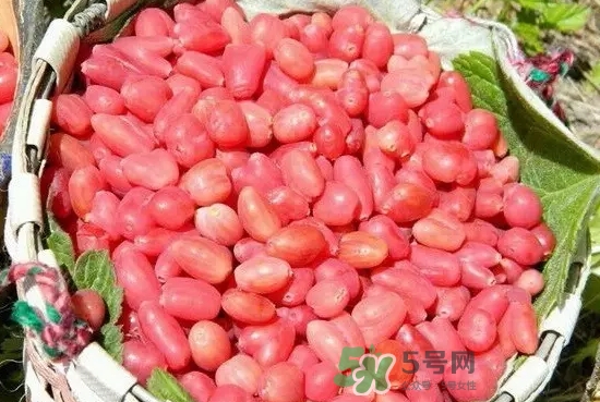 杈杷果多少錢一斤？杈杷果價(jià)格表