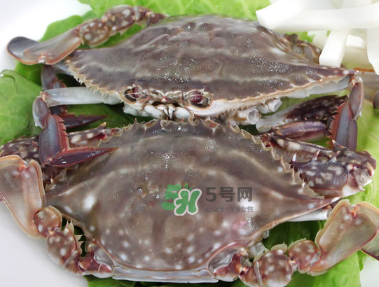 梭子蟹為什么這么貴？梭子蟹和大閘蟹哪個貴？