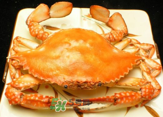 飛蟹什么時候最肥？飛蟹幾月份最肥？
