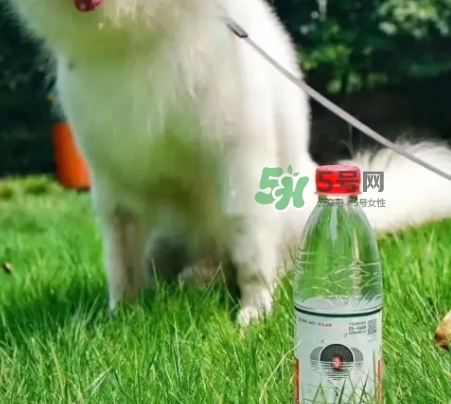 網(wǎng)易云音樂農(nóng)夫山泉樂瓶怎么玩？云音樂農(nóng)夫山泉玩法