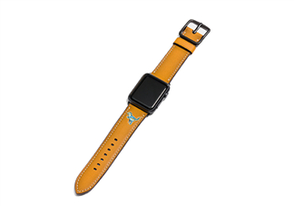 coach apple watch恐龍表帶多少錢？蔻馳蘋果手表恐龍表帶價(jià)格