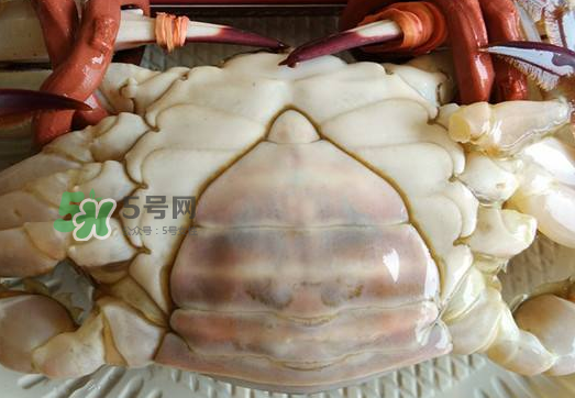 飛蟹多少錢一斤？飛蟹多少錢一斤2017？