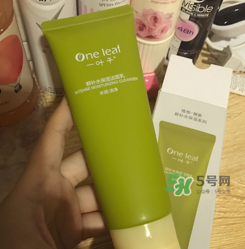 一葉子鮮補水洗面奶怎么樣？一葉子鮮補水潔面乳好用嗎？