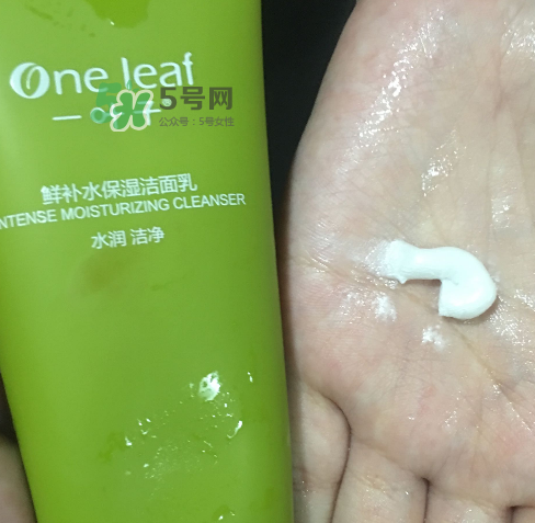 一葉子鮮補水洗面奶怎么樣？一葉子鮮補水潔面乳好用嗎？