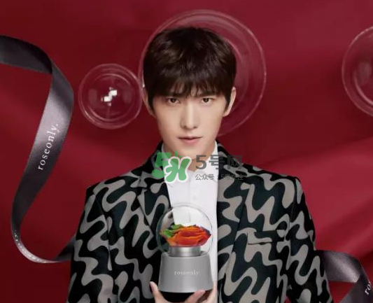 roseonly音樂盒多少錢？roseonly音樂盒歌曲名