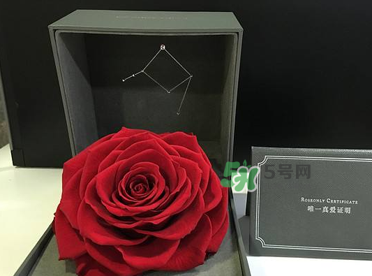 roseonly永生花可以保存多久？roseonly永生花保養(yǎng)
