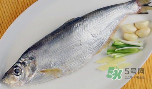 鰣魚和響魚是兩種魚嗎？鰣魚和鯽魚的區(qū)別