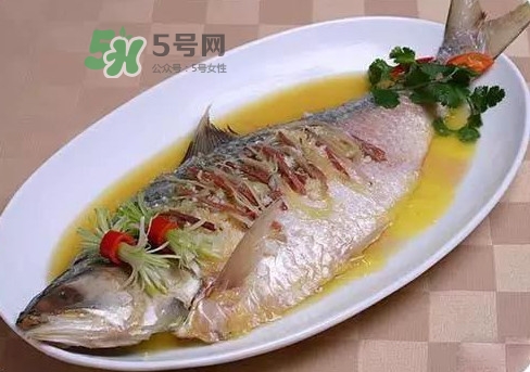 鰣魚怎么讀？鰣魚是什么魚