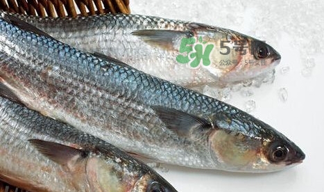 鰣魚多少錢一斤？長江鰣魚多少錢一斤2017